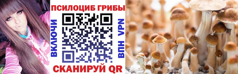 магазин  наркотиков  Стрежевой  MEGA ссылка  маркетплейс какой сайт  Псилоцибиновые грибы Cubensis 